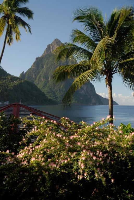 Hummingbird Beach Resort Soufriere Exterior photo