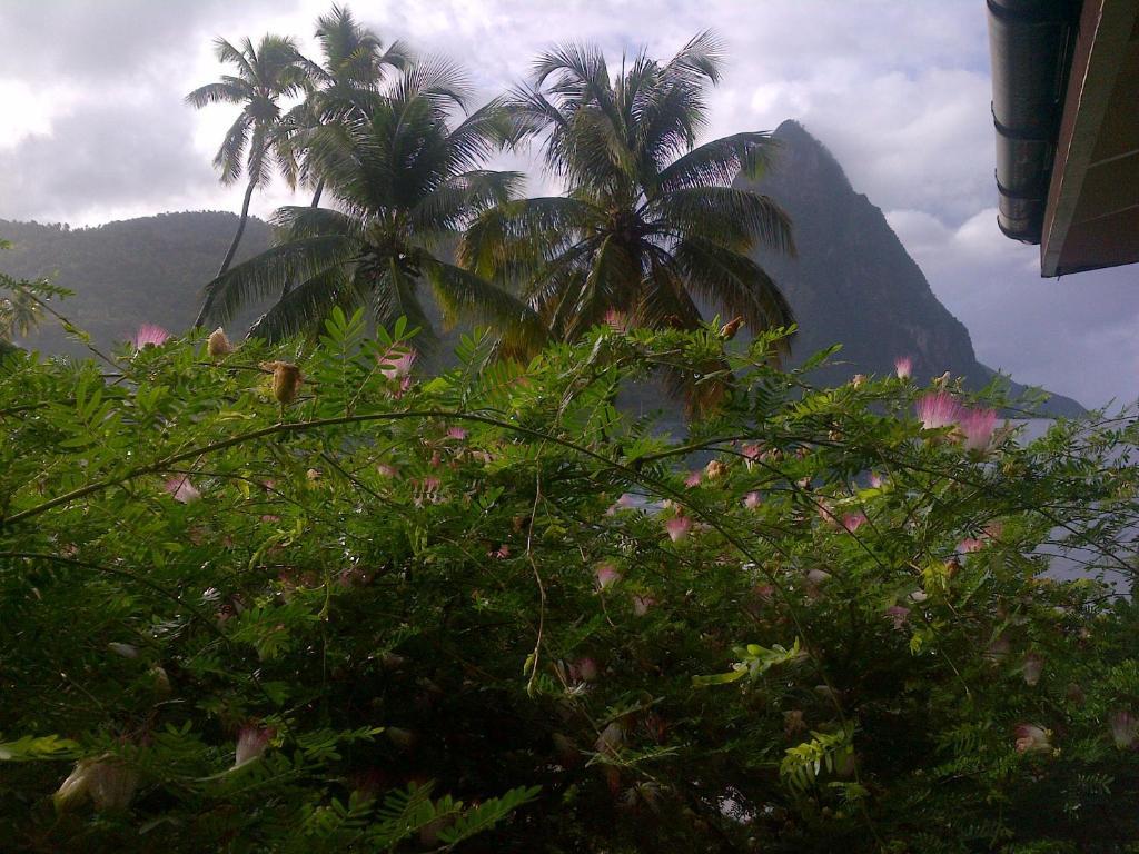 Hummingbird Beach Resort Soufriere Exterior photo